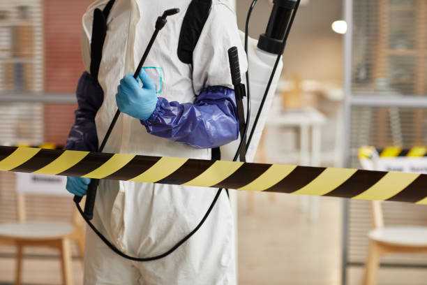 Professional Sewage Cleanup technician working in Granger, IA